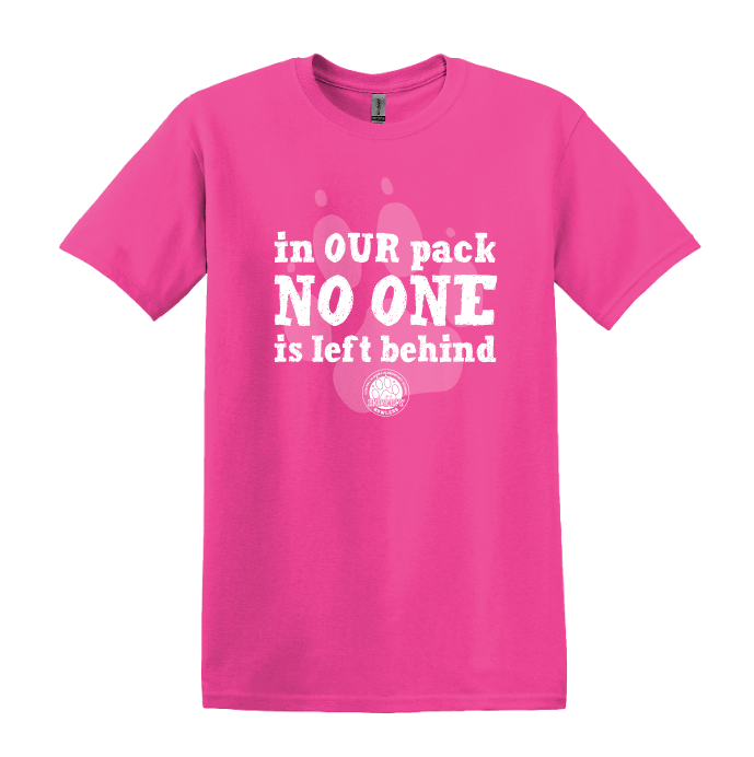 CAES Pink Shirt Day Tshirt